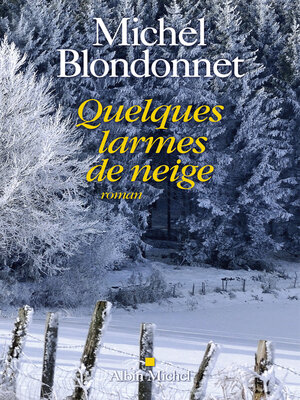 cover image of Quelques larmes de neige